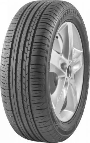 Evergreen DYNACOMFORT EH226 165/65R13 77T
